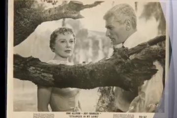 Classic Old Movie : A Stranger In My Arms 1959